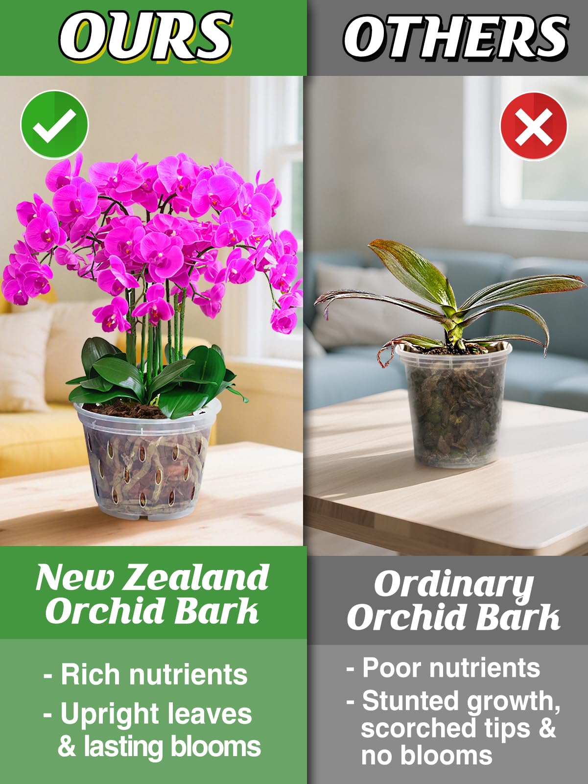 Bigmeta bark mixed in an orchid pot demonstrating better drainage and healthy roots