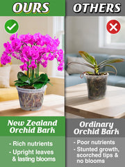 Bigmeta bark mixed in an orchid pot demonstrating better drainage and healthy roots