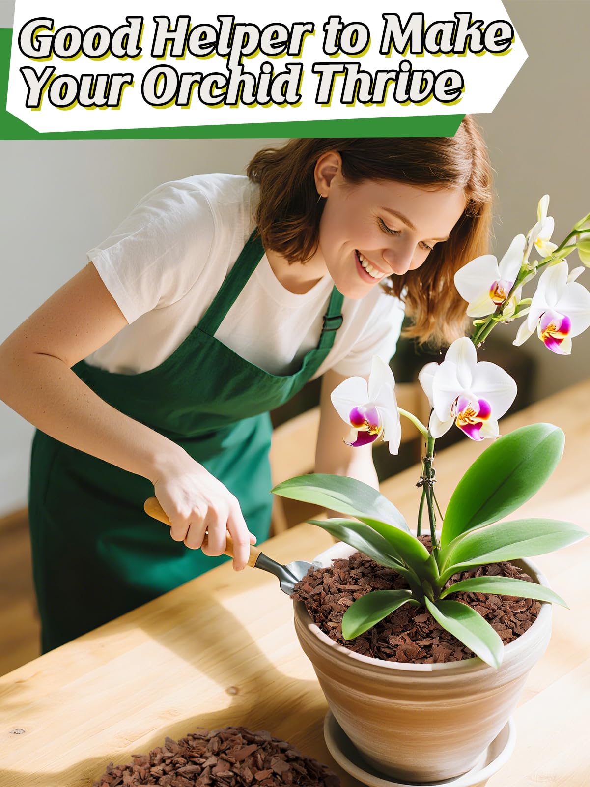 Top-dressing of Bigmeta bark on a potted orchid illustrating reduced surface evaporation