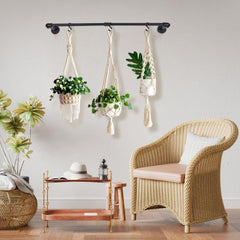Bigmeta plants hanging in a living room demonstrating decorative vertical greenery and visual impact
