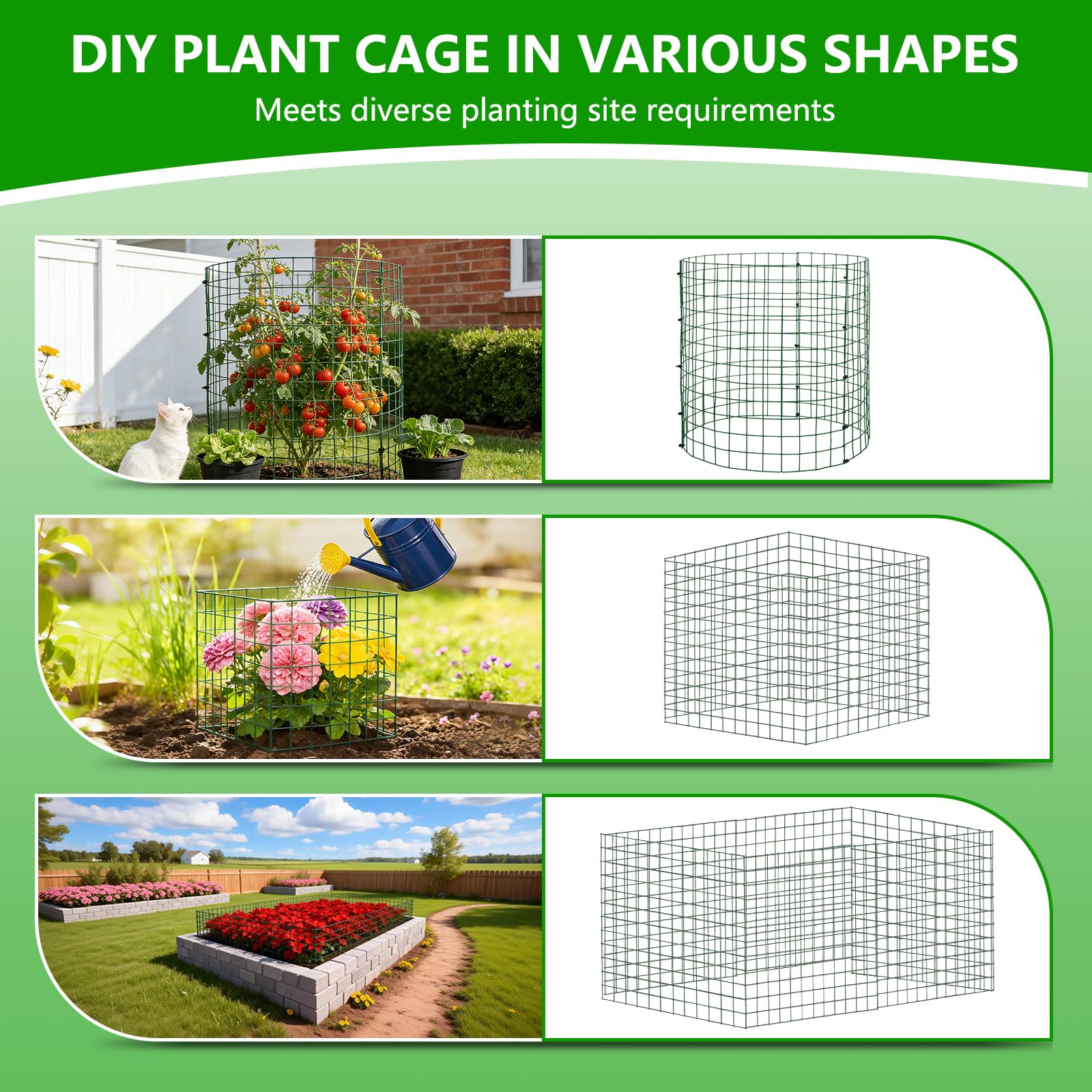 Bigwish cage surrounding young vegetable seedling to prevent nibbling