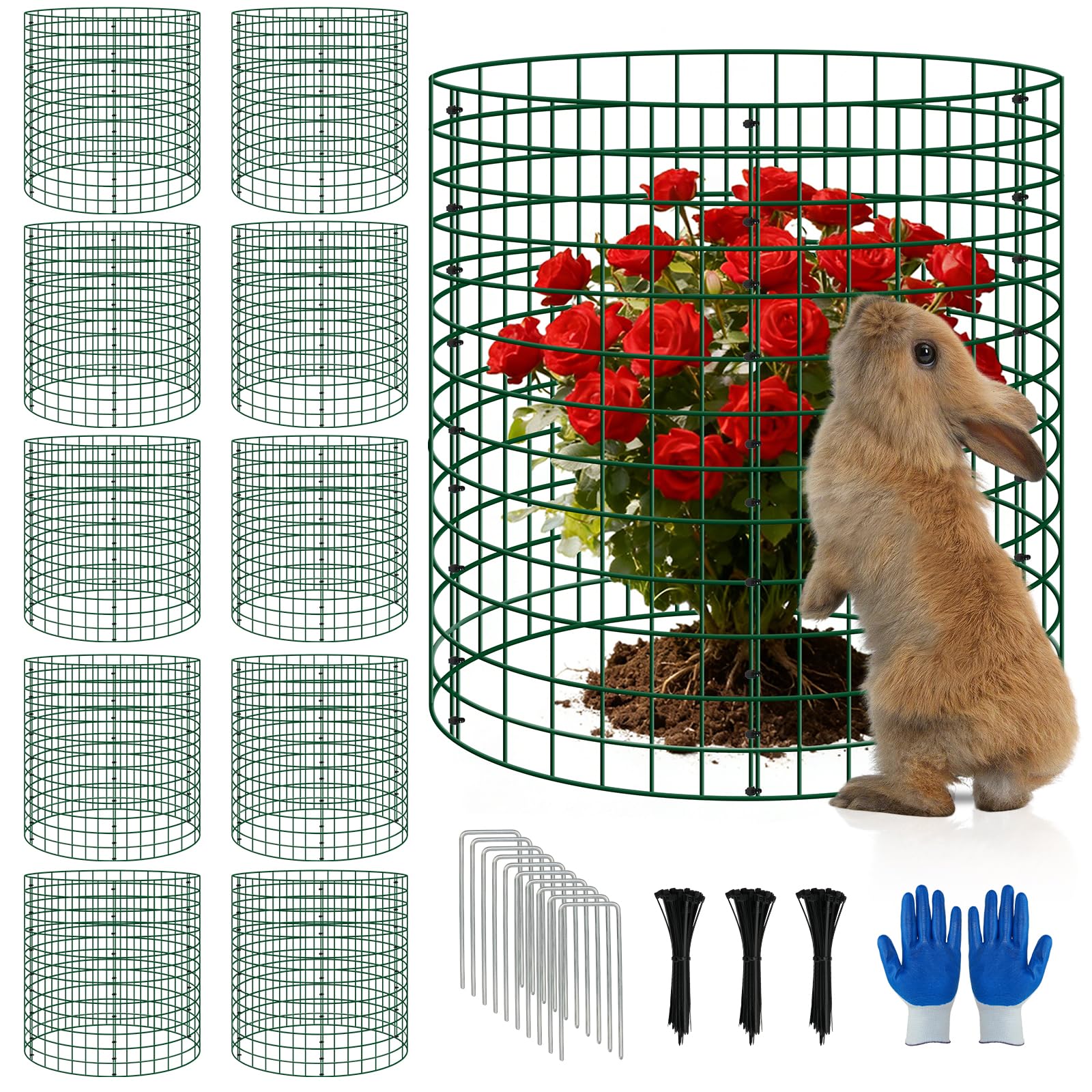Bigwish front view of assembled plant cages showing organized protection benefit