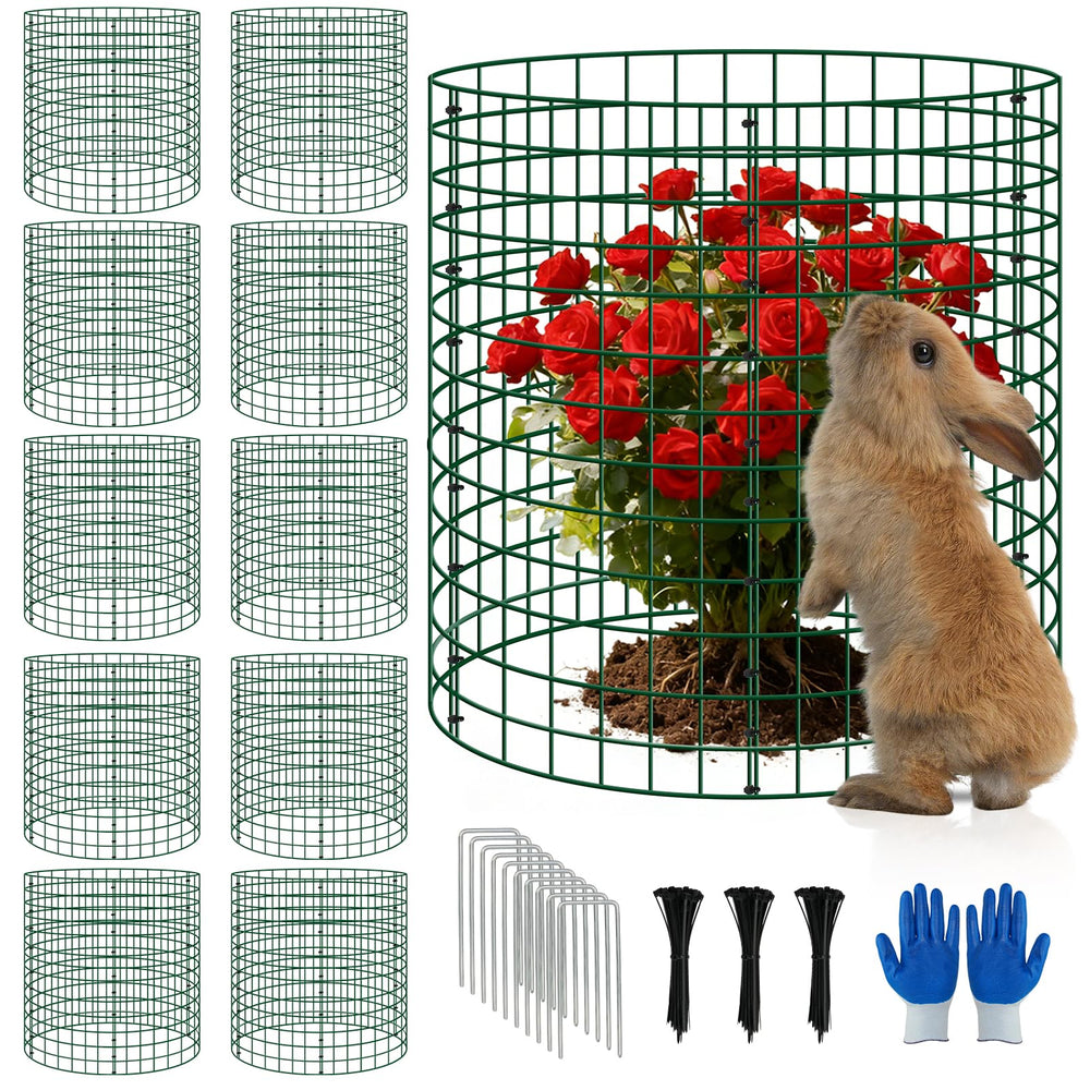 Bigwish front view of assembled plant cages showing organized protection benefit