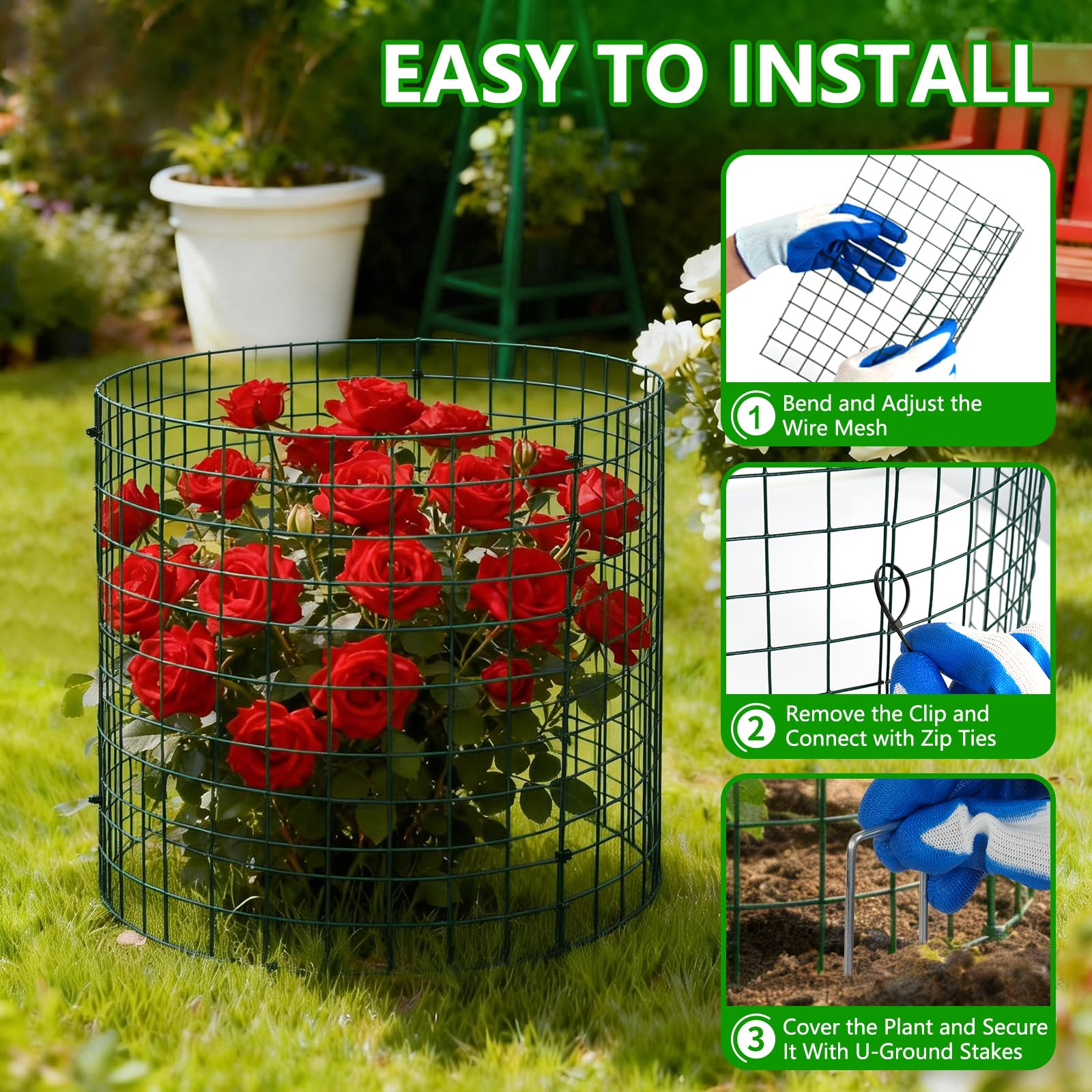 Bigwish hand holding cage for scale to visualize size and fit