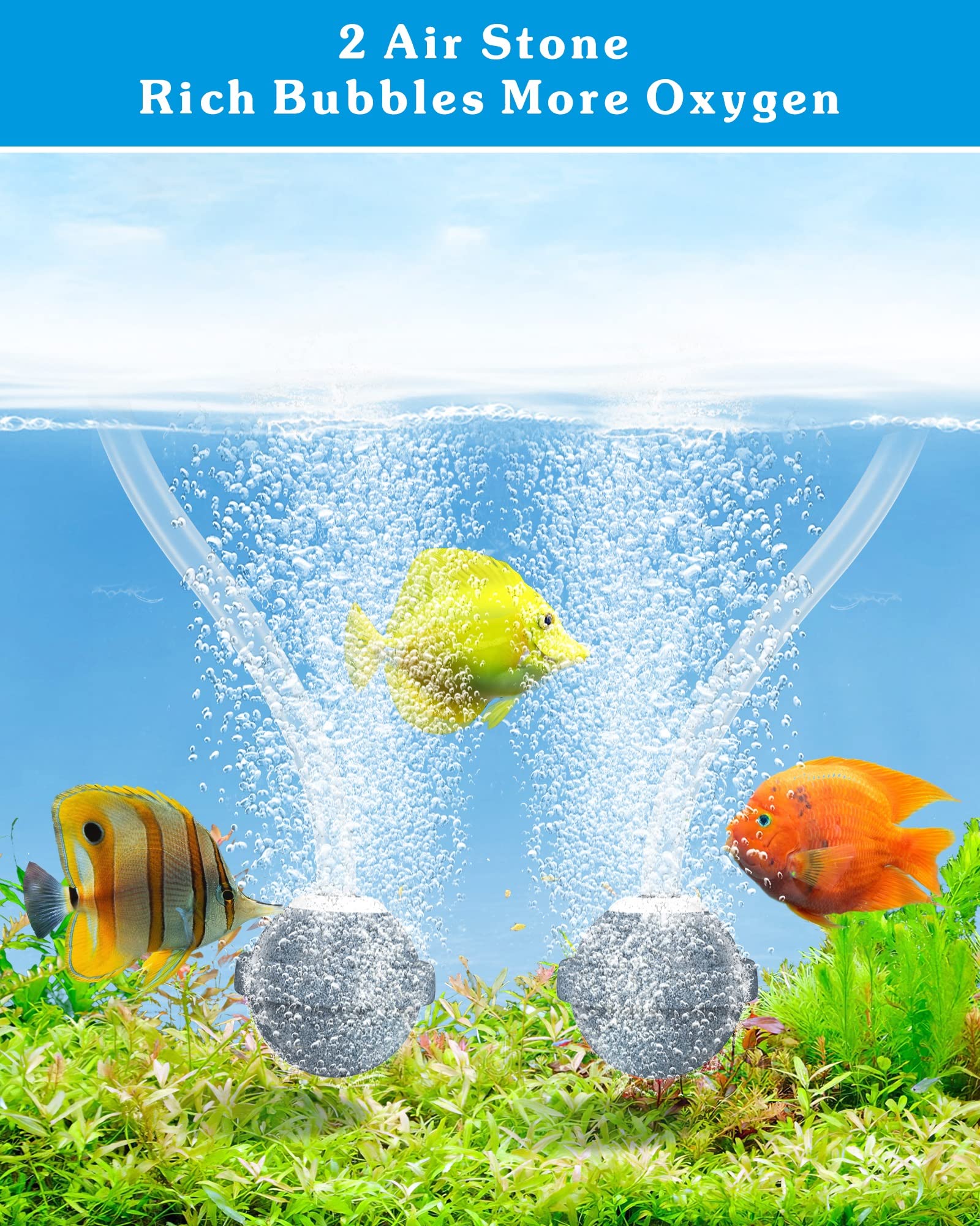 Biling aerator pump close-up highlighting IPX5 waterproof housing and quiet operation