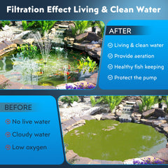 Biling filter box close-up showing debris collection and easy cleaning