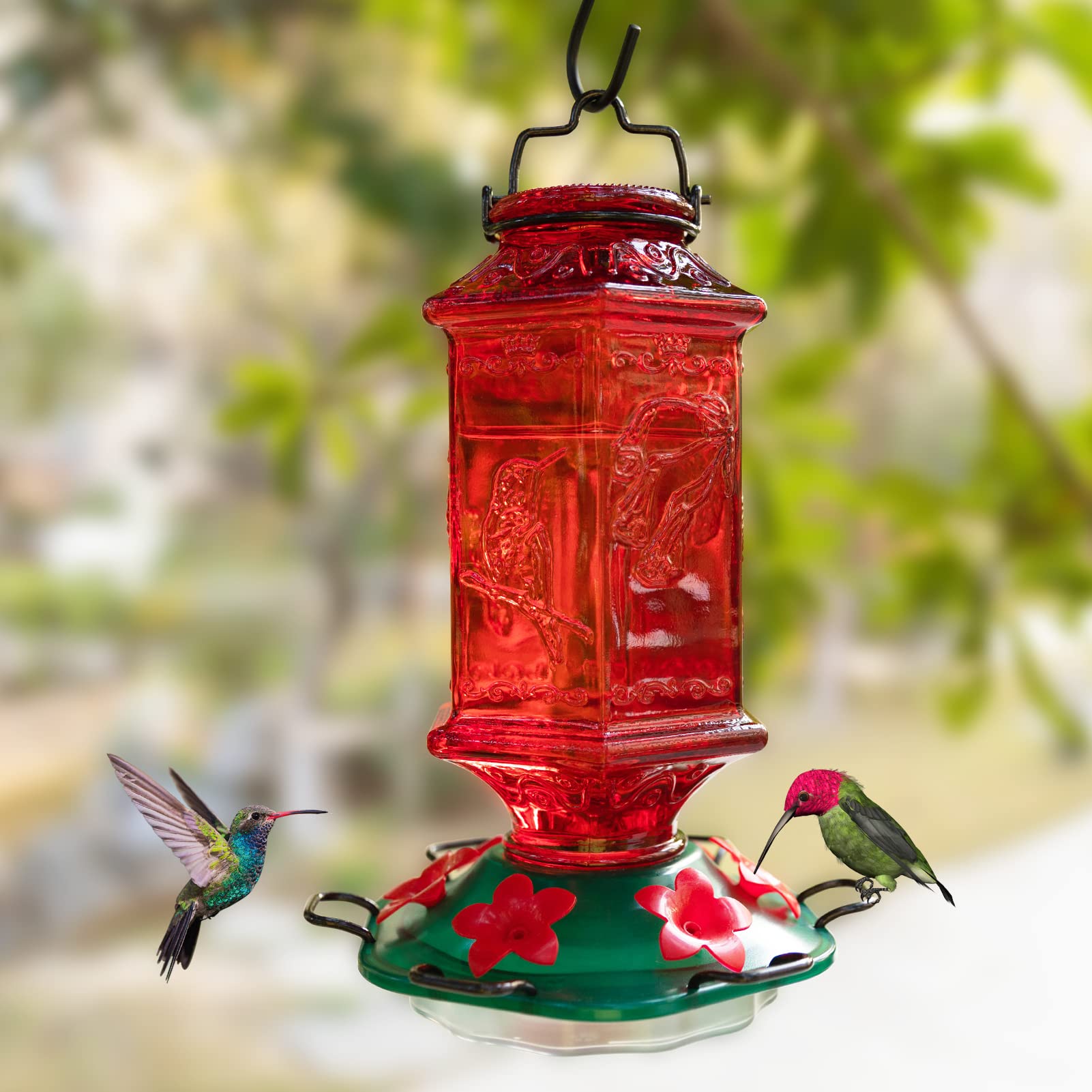 Billion Sky hanging in a garden setting attracting hummingbirds to yard