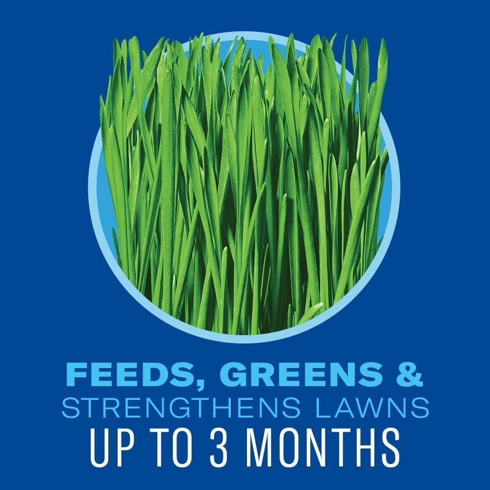 BioAdvanced-treated crabgrass turning purple showing effective root control