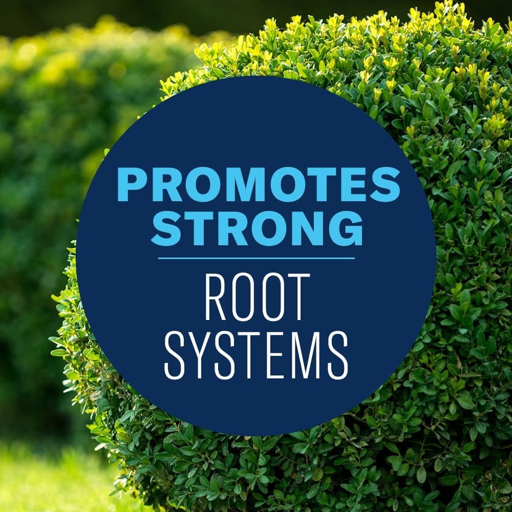BioAdvanced granules watered into soil at root zone, systemically absorbed