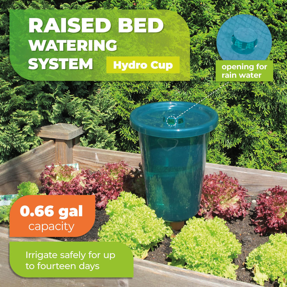 Bio Green insert installed in pot demonstrating consistent root watering
