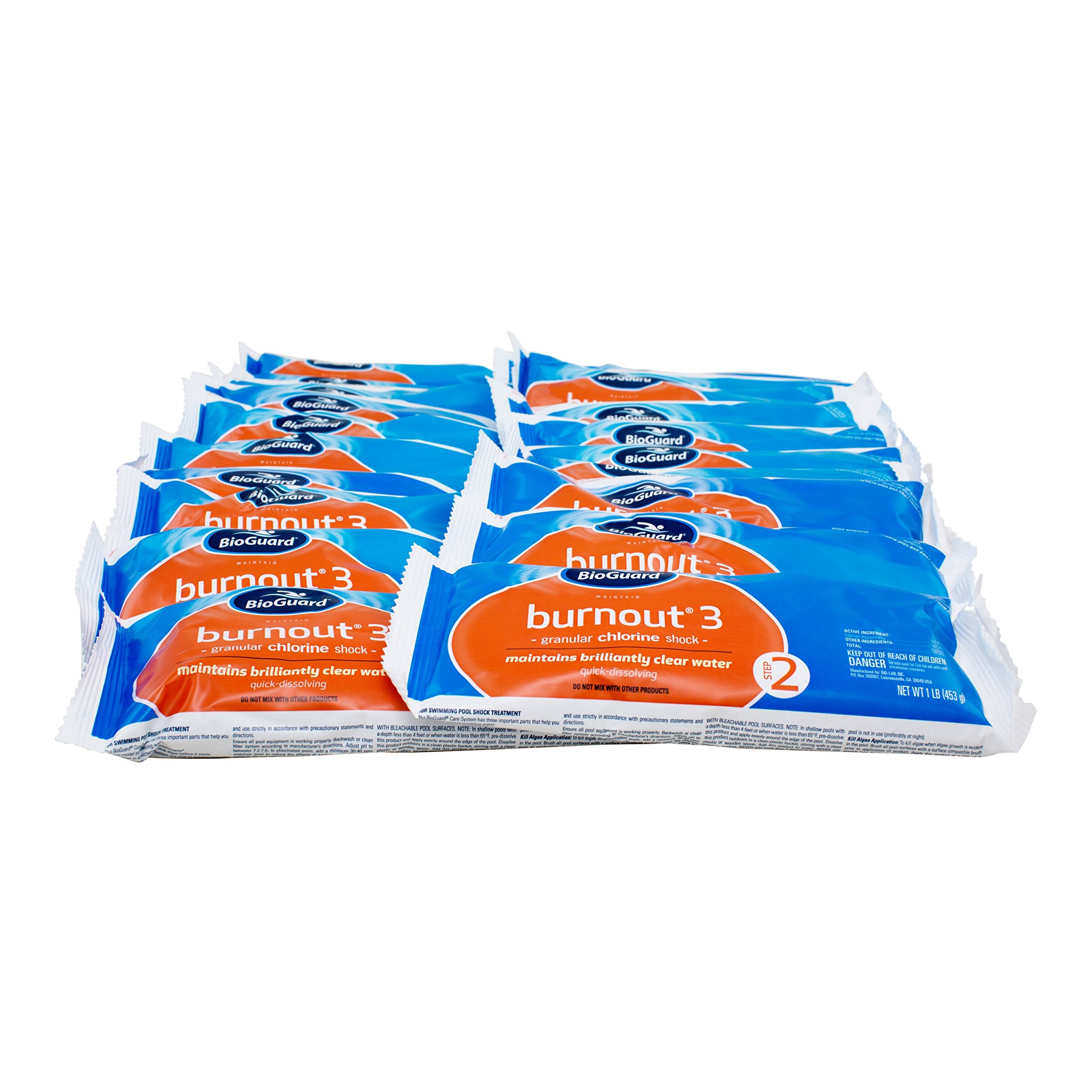 BioGuard Burnout 3 front packaging showing 1 lb packet and clear-pool benefit