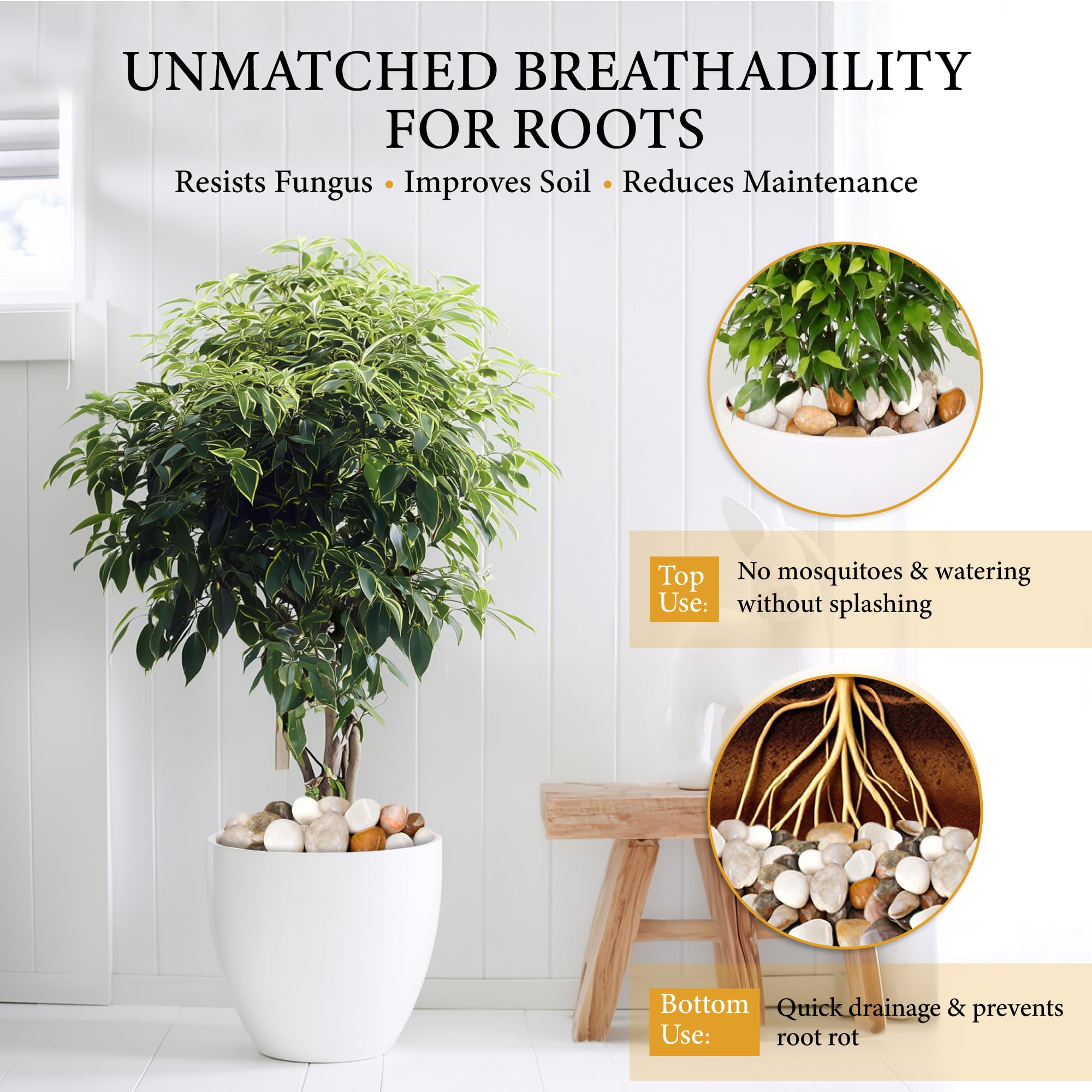 BIOMAND decorative pebbles in a planter demonstrating neat finish and moisture retention benefits for indoor plants