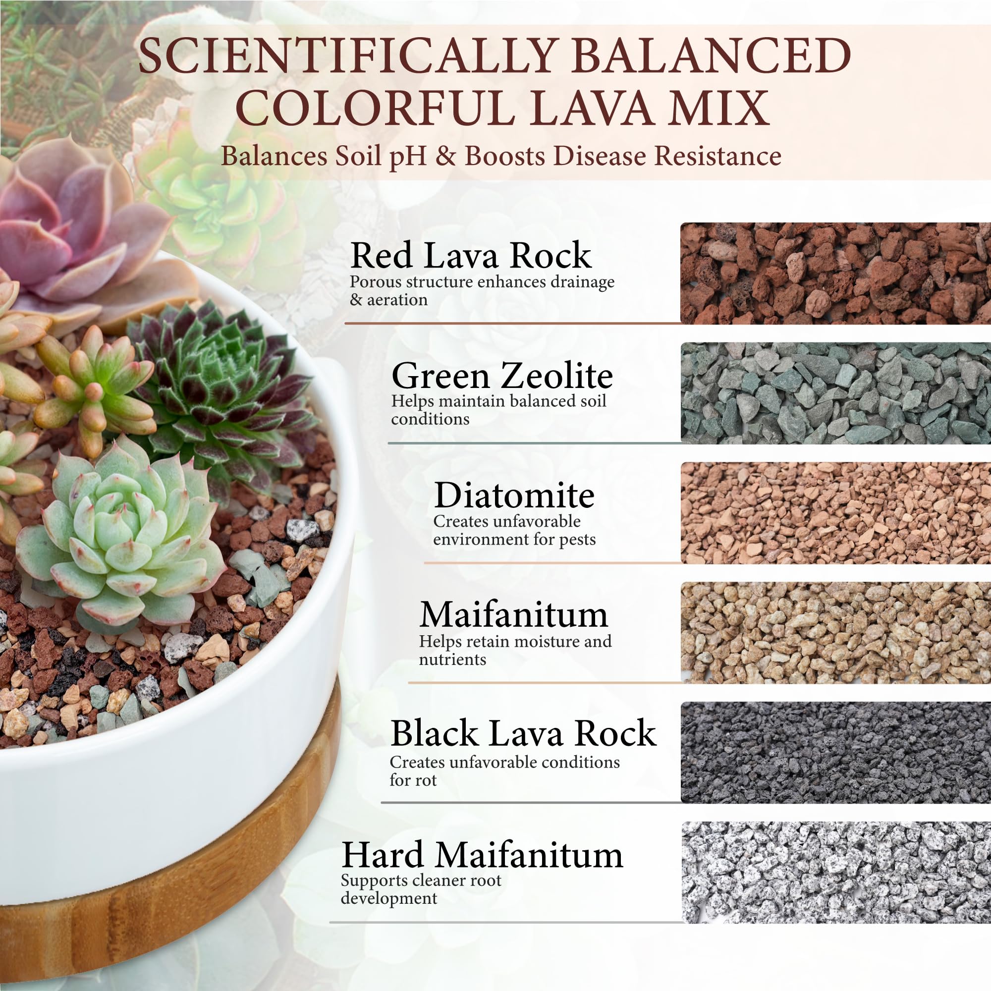 BIOMAND used as surface mulch on succulent showcasing tidy appearance benefit