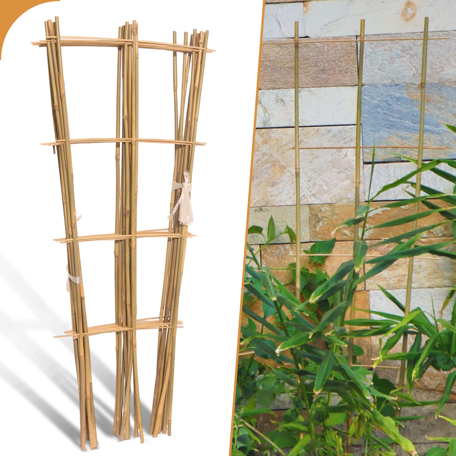 Biotol front view fan-shaped trellis showing natural bamboo and stable design
