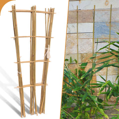 Biotol front view fan-shaped trellis showing natural bamboo and stable design
