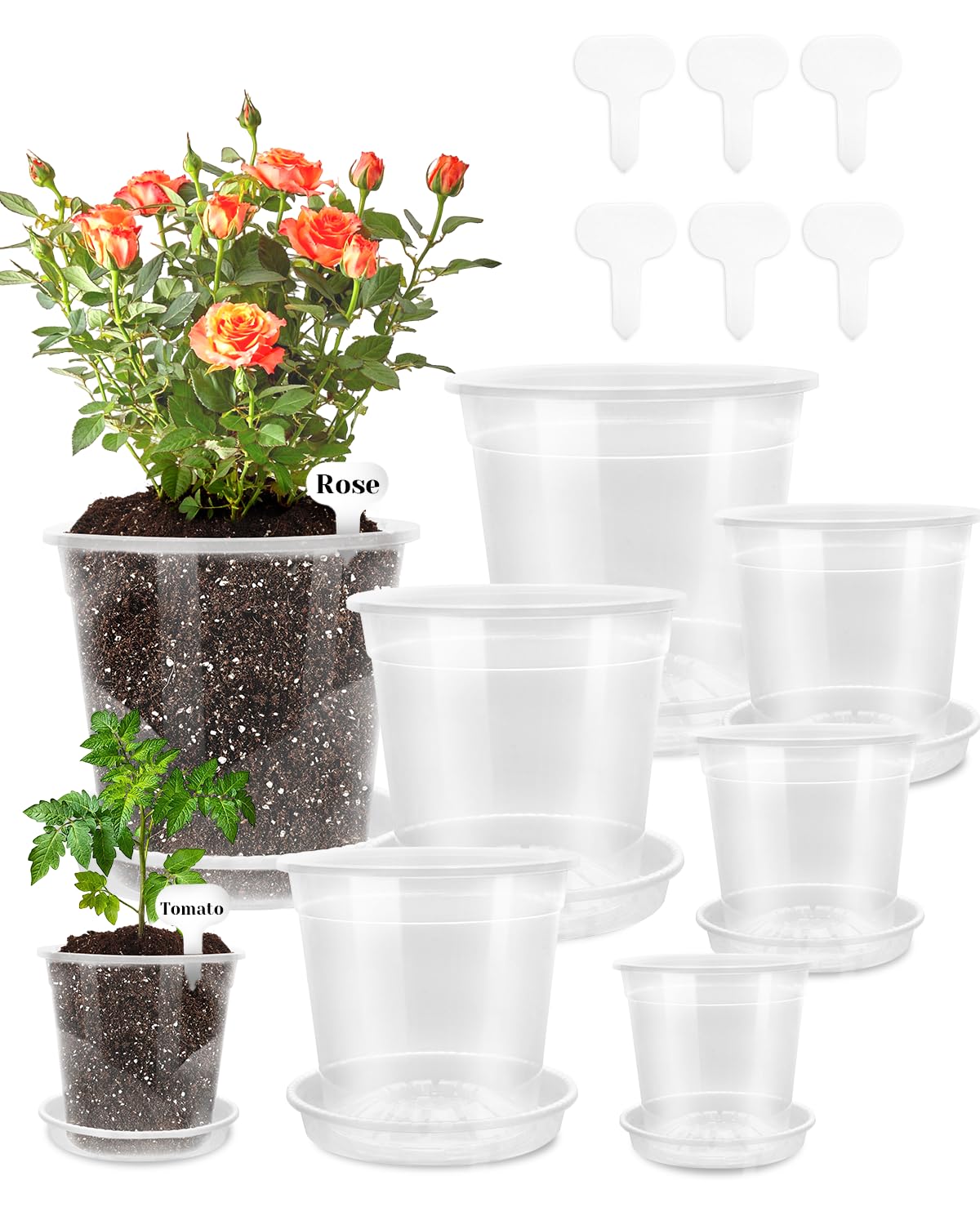 Biotol front view showing six pots and saucers, tidy starter system benefit