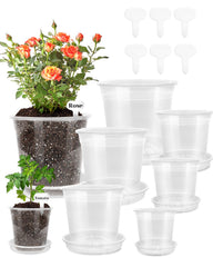Biotol front view showing six pots and saucers, tidy starter system benefit