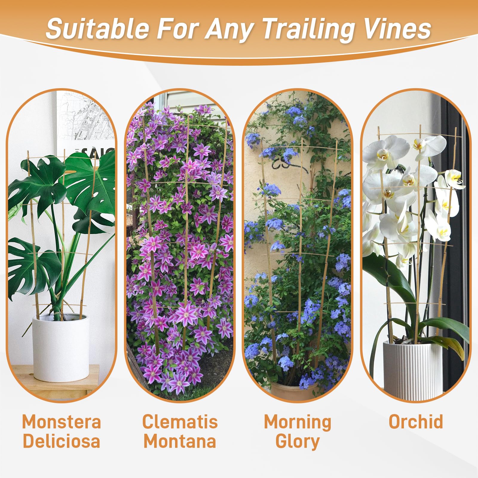 Biotol trellis in garden setting adding natural support and decorative appeal