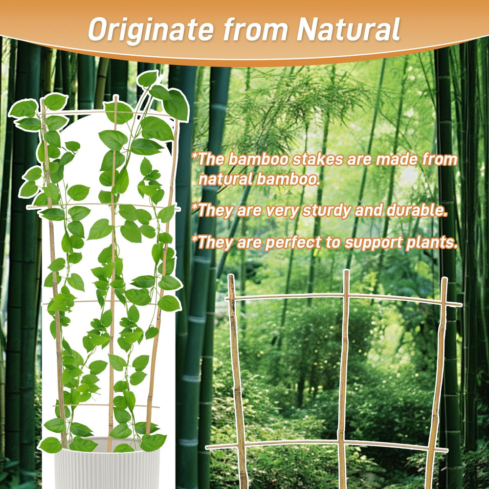 Biotol trellis installed in pot with vine demonstrating vertical plant support