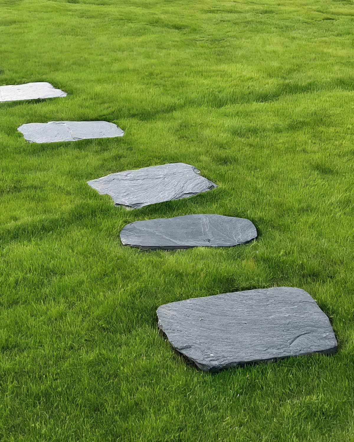 Biotol painted stone in yard showing customization potential and decorative benefit