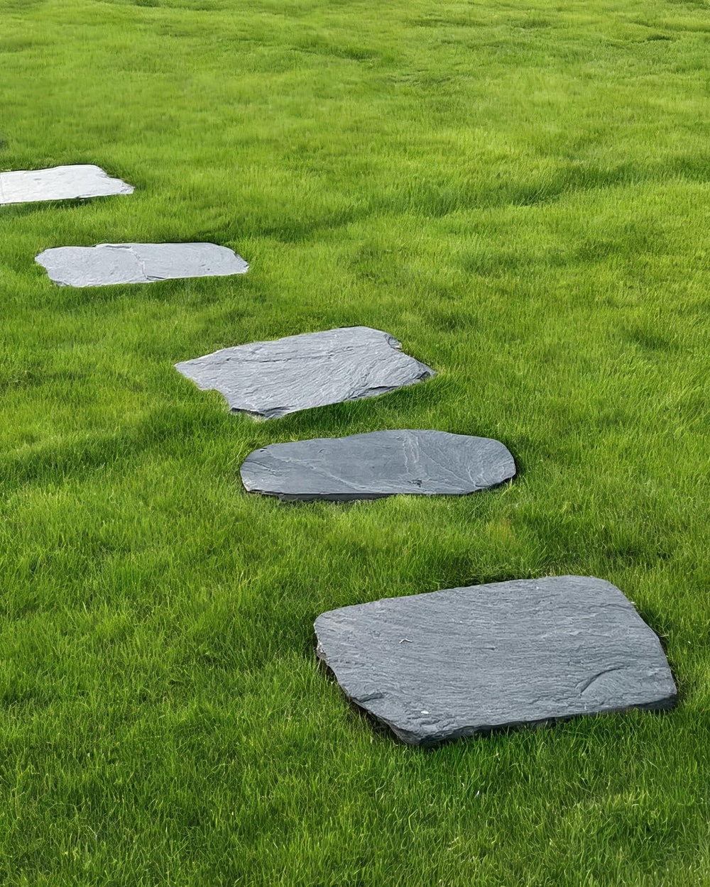 Biotol painted stone in yard showing customization potential and decorative benefit