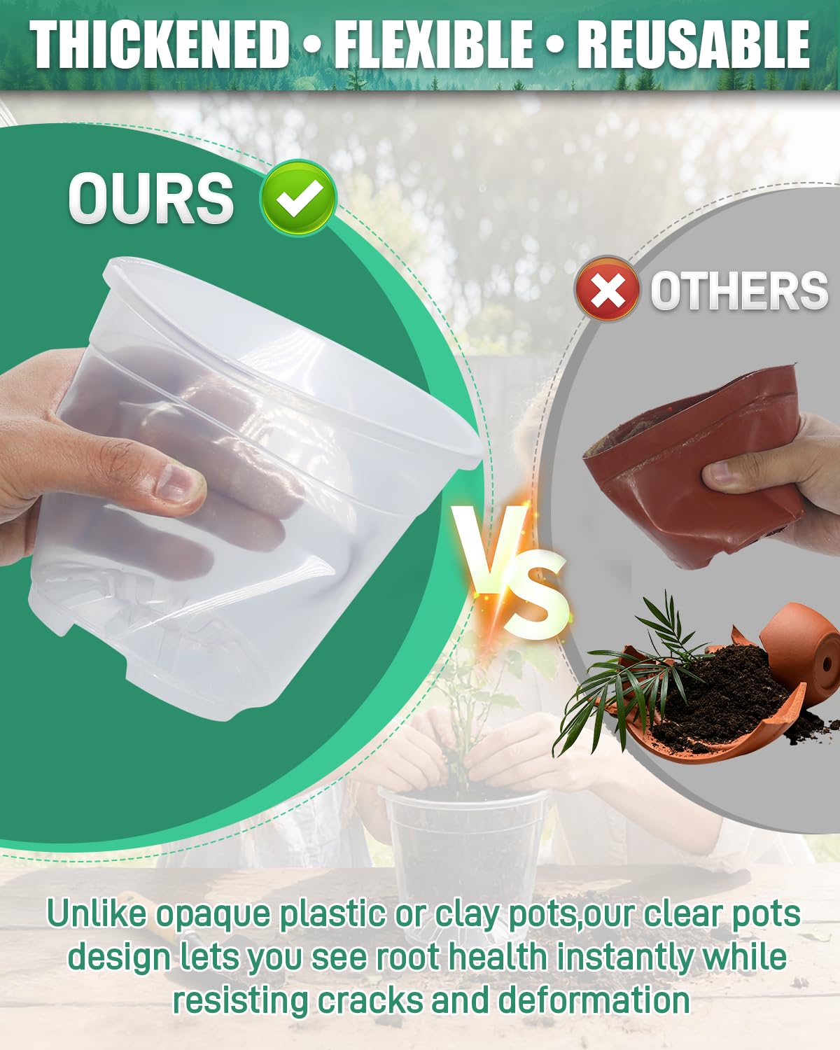 Biotol pots with soil and seedlings in use, supports healthy early growth