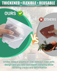 Biotol pots with soil and seedlings in use, supports healthy early growth