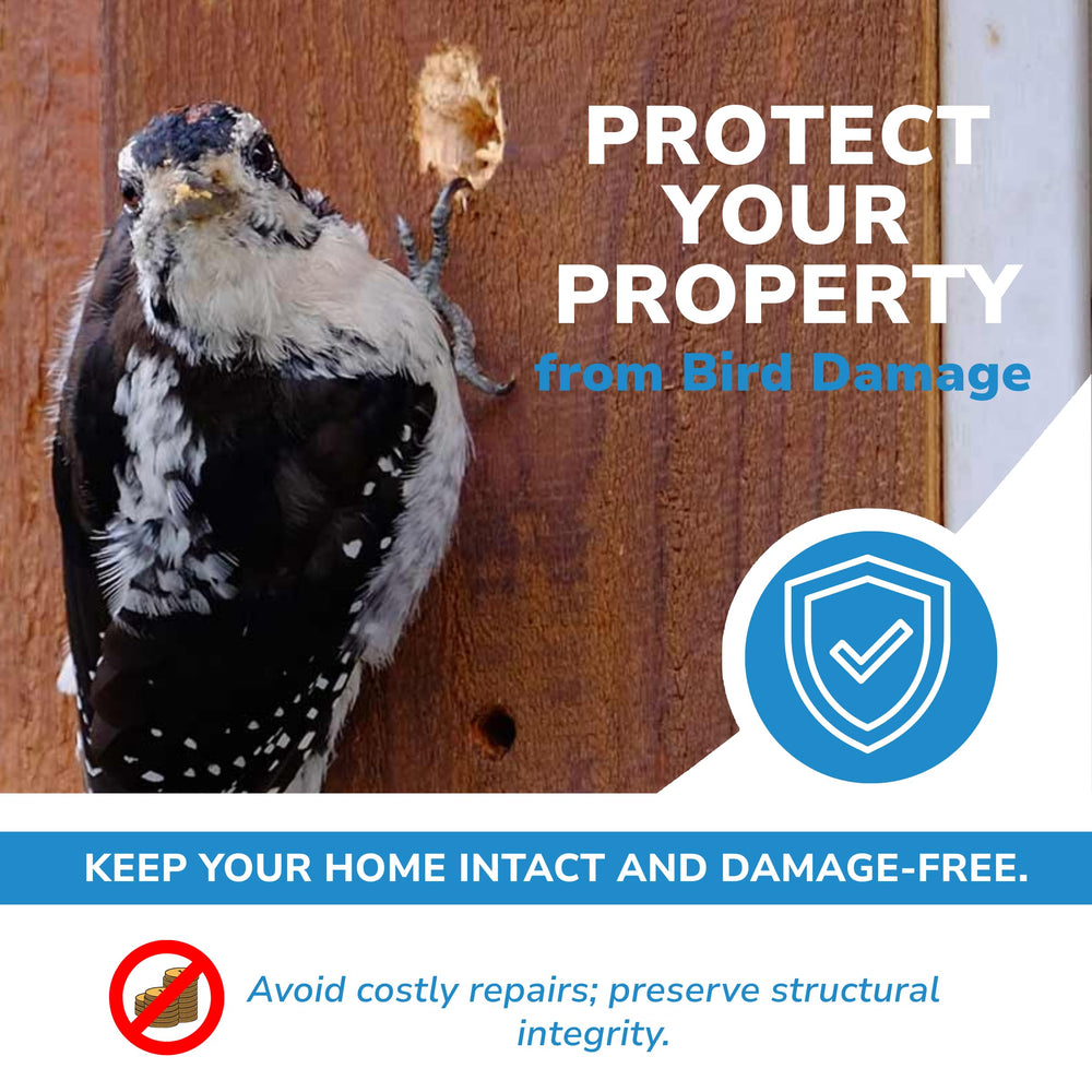 Bird Barrier mounted bracket installed under eaves for immediate no-assembly protection benefit