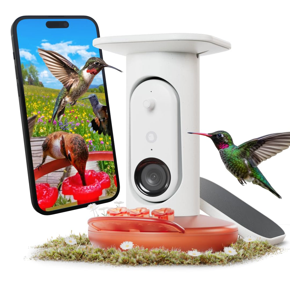 Bird Buddy front view showing feeder and camera for clear garden monitoring