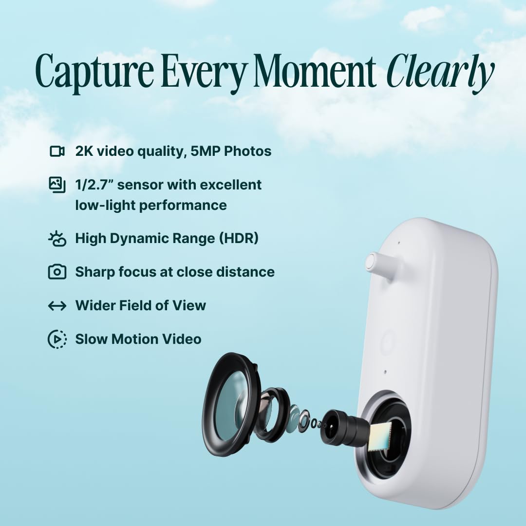 Bird Buddy hanger and mount displayed for easy installation benefit