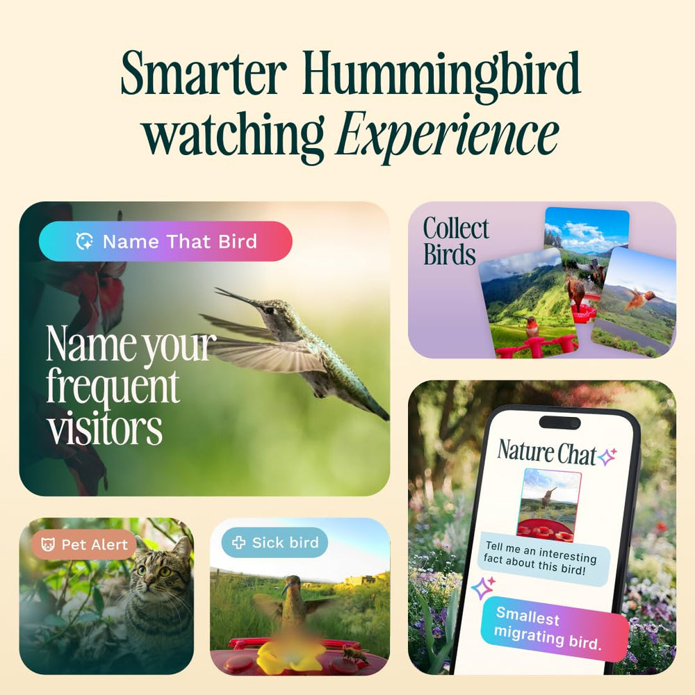 Bird Buddy hummingbird feeding in use capturing a close visit benefit