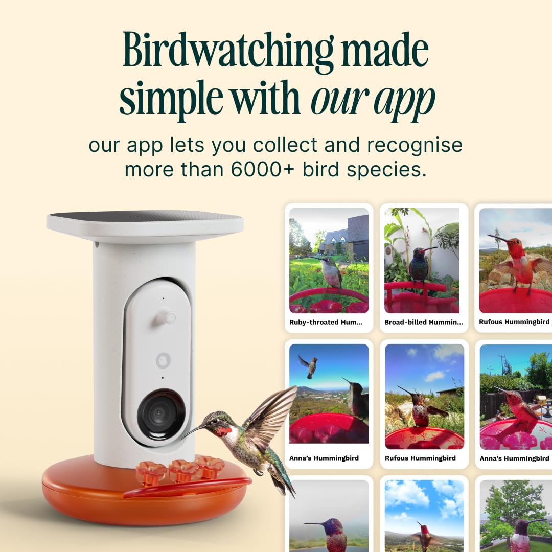 Bird Buddy nectar ports closeup showing bird-friendly feeding design