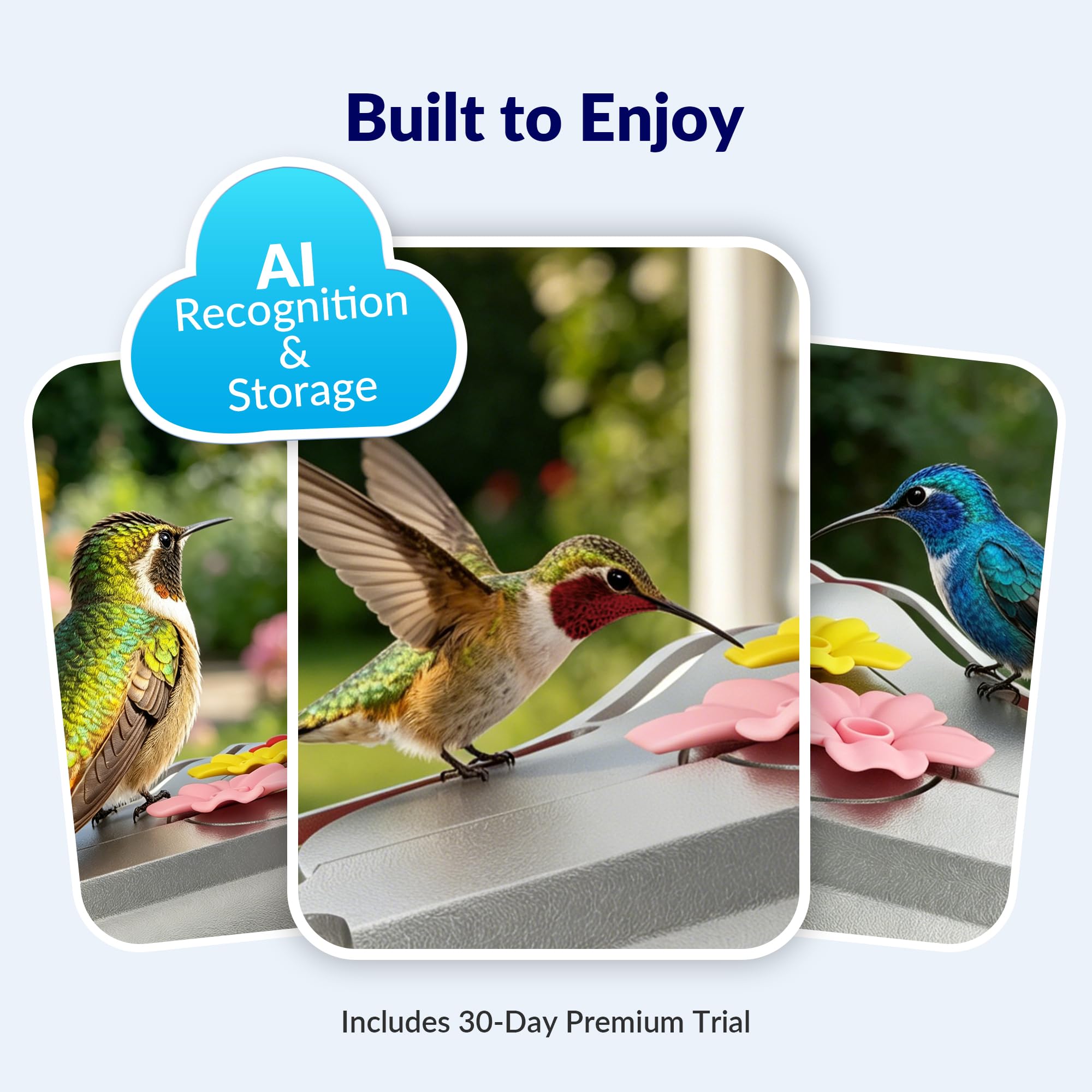 BirdBlume feeder in use with hummingbird visiting, enabling real-time observation and alerts