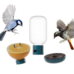 Bird Buddy front view showing 3-in-1 set attached, enhances feeding variety