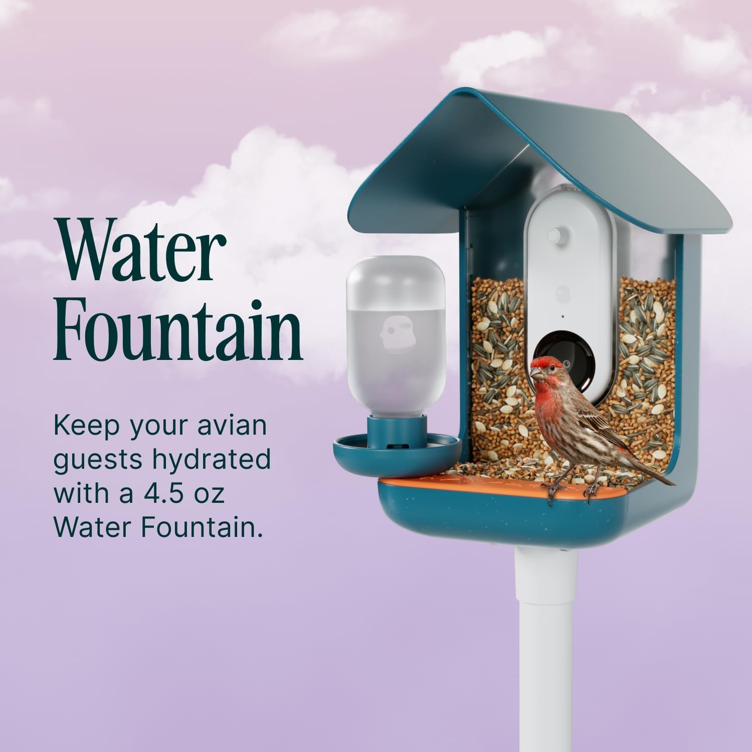 Bird Buddy in-use with birds feeding, attracts more species to garden