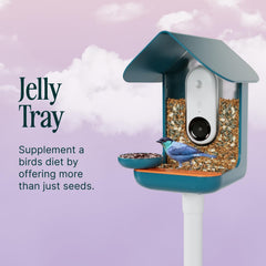 Bird Buddy jelly tray top view showing easy-to-clean surface for treats