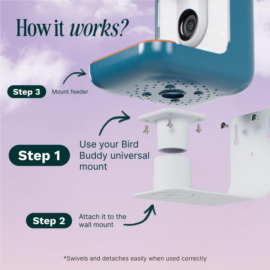 Bird Buddy detailed clasp image illustrating secure hold and stability
