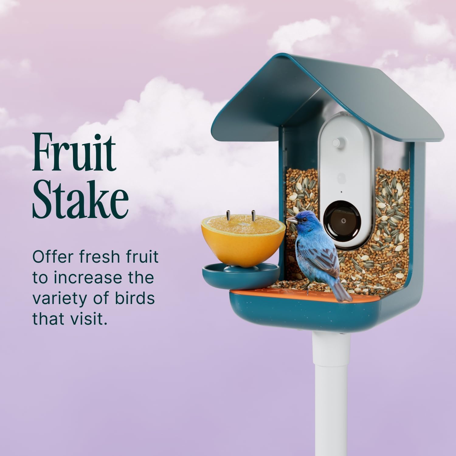 Bird Buddy size comparison with a hand, shows compact, space-saving design