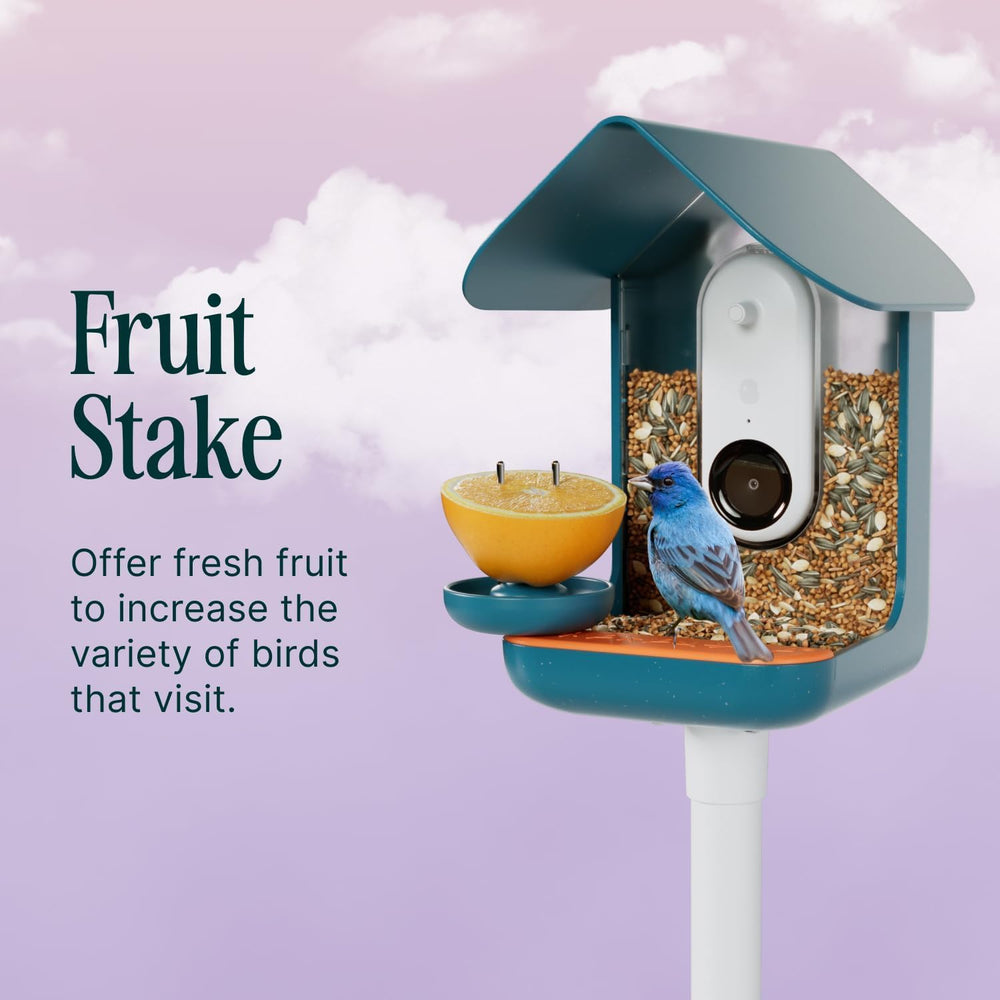 Bird Buddy size comparison with a hand, shows compact, space-saving design