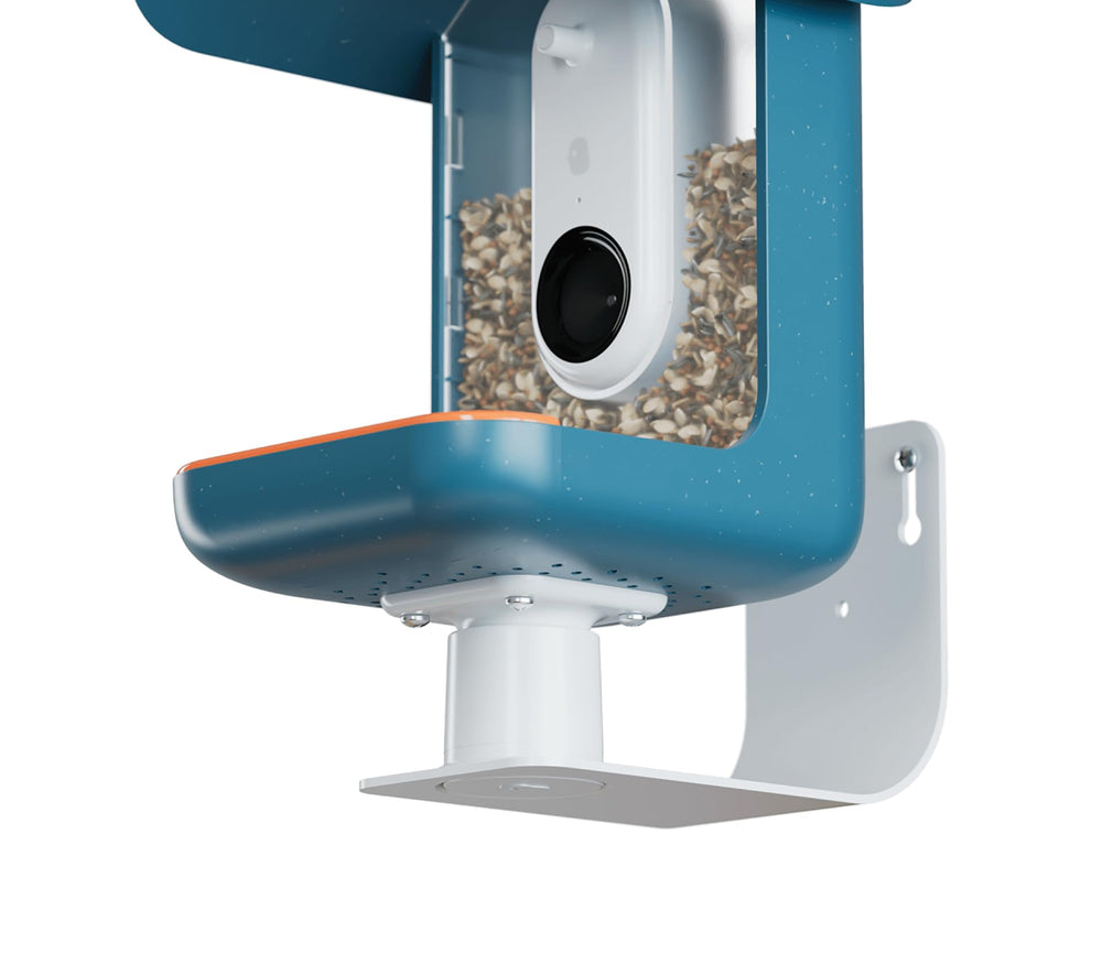 Bird Buddy front view of wall mount showing secure feeder attachment benefit