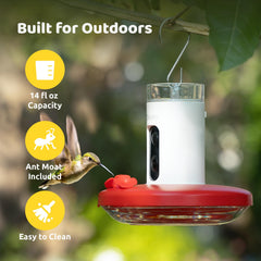 Birdfy camera close-up that records 1080p video for clear bird images