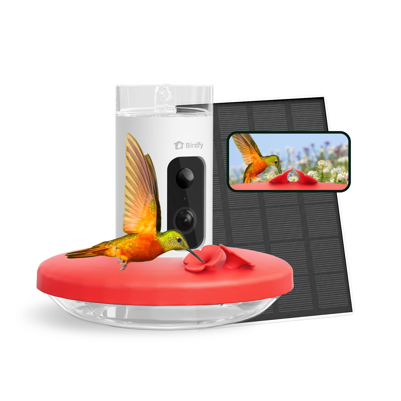 Birdfy front view showing feeder and ports for easy setup and enjoyment