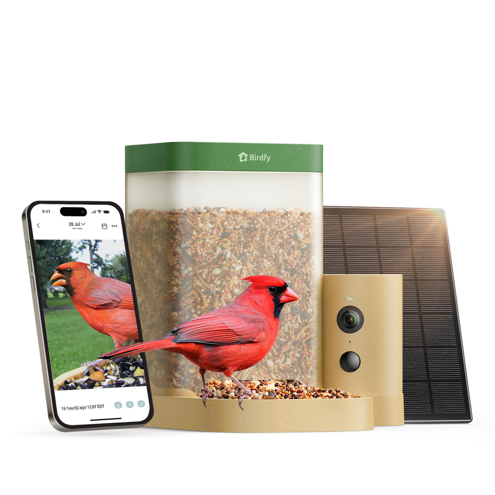 Birdfy front view showing feeder and camera for clear backyard recordings