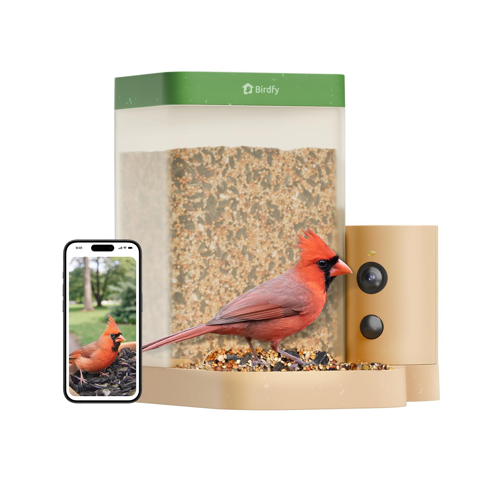 Birdfy front view showing feeder and camera, clear observation benefit
