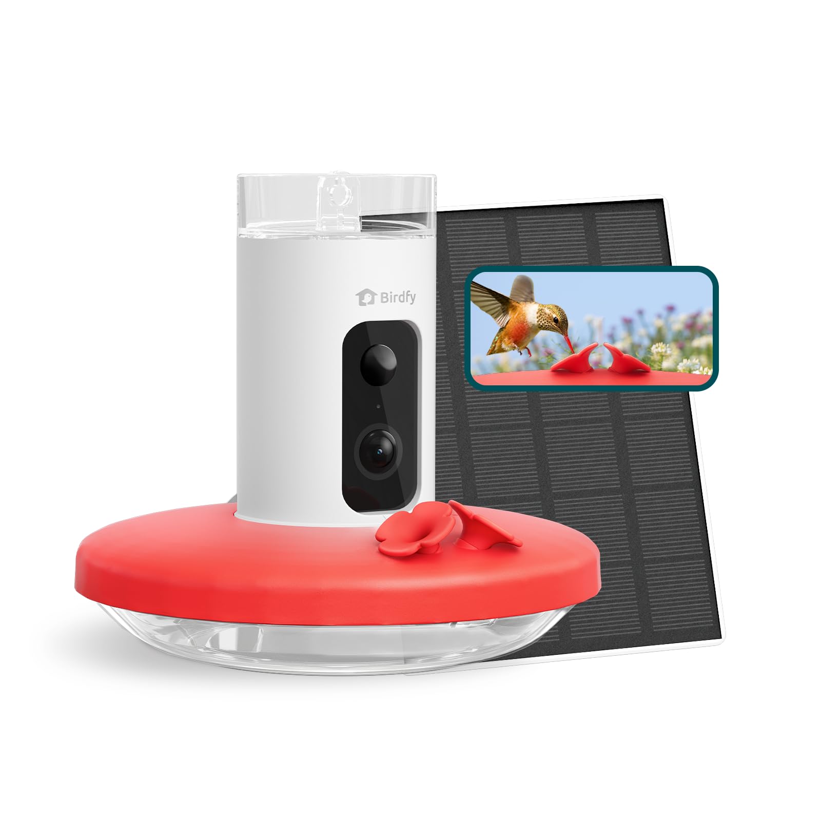 Birdfy feeder front view showing ports and camera, offering clear footage