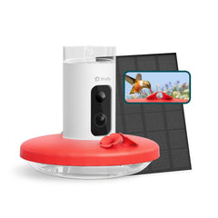 Birdfy feeder front view showing ports and camera, offering clear footage