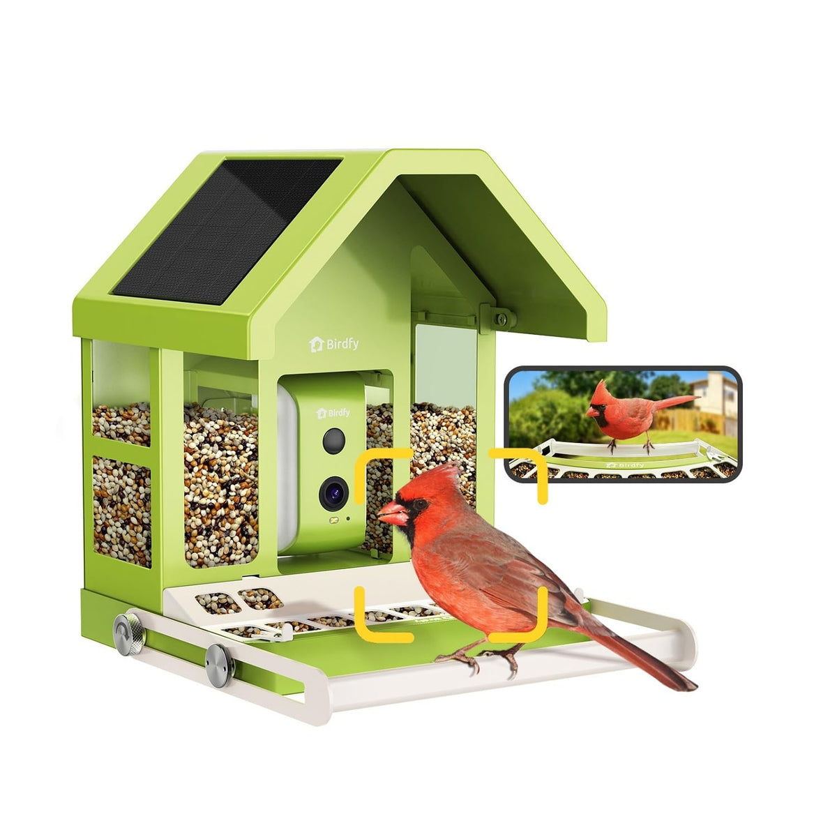 Birdfy front view showing feeder and camera for effortless birdwatching