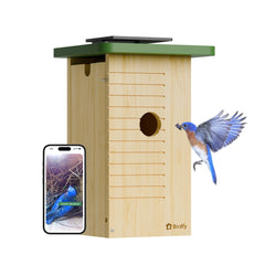 Birdfy front view showing natural fir wood and entrance hole, inviting habitat