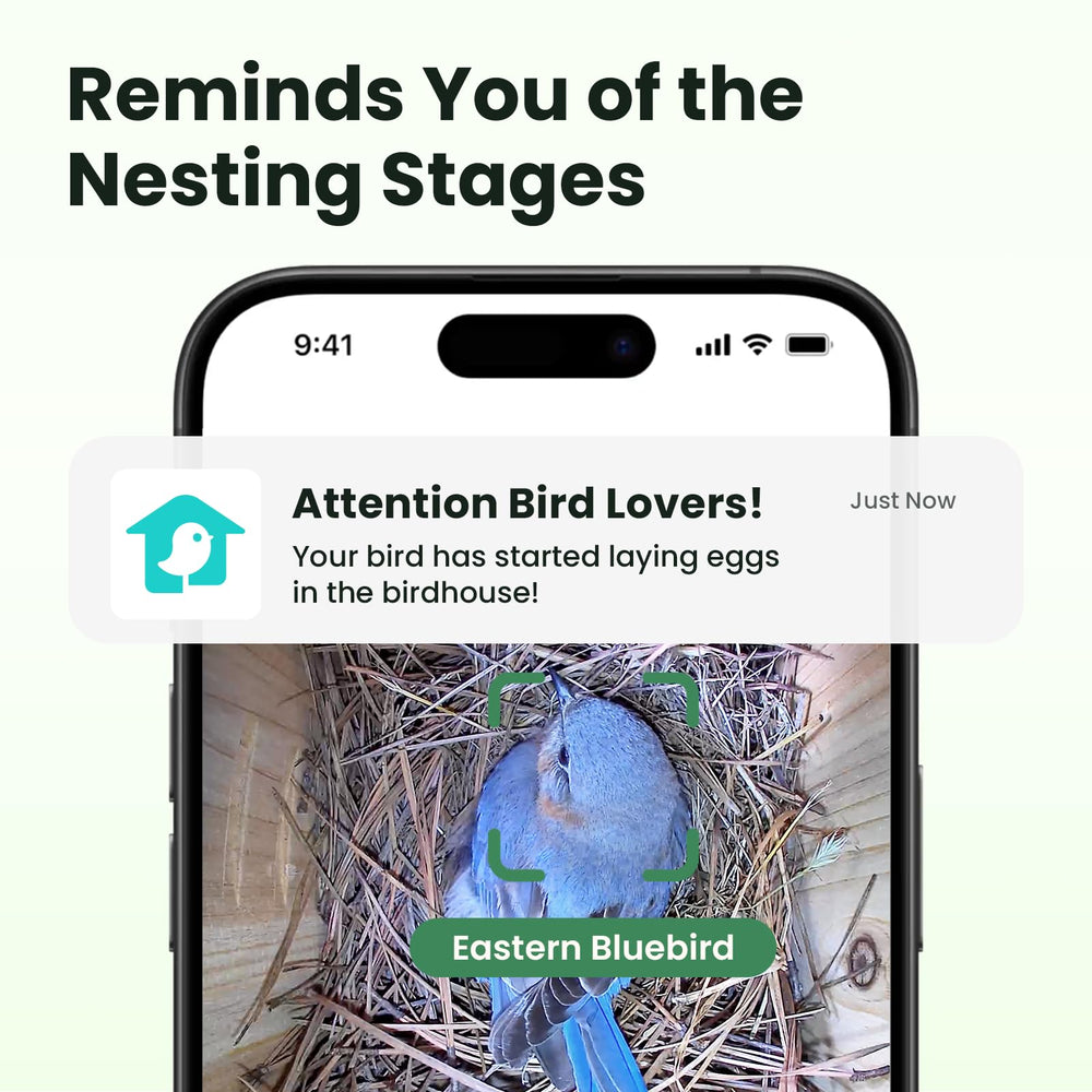 Birdfy mounted on pole showing outdoor placement and stable mounting benefit