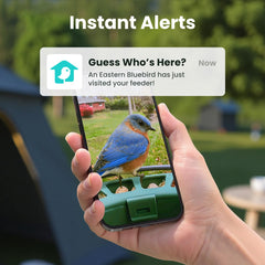 Birdfy mounted on a tree demonstrating easy wire-free installation